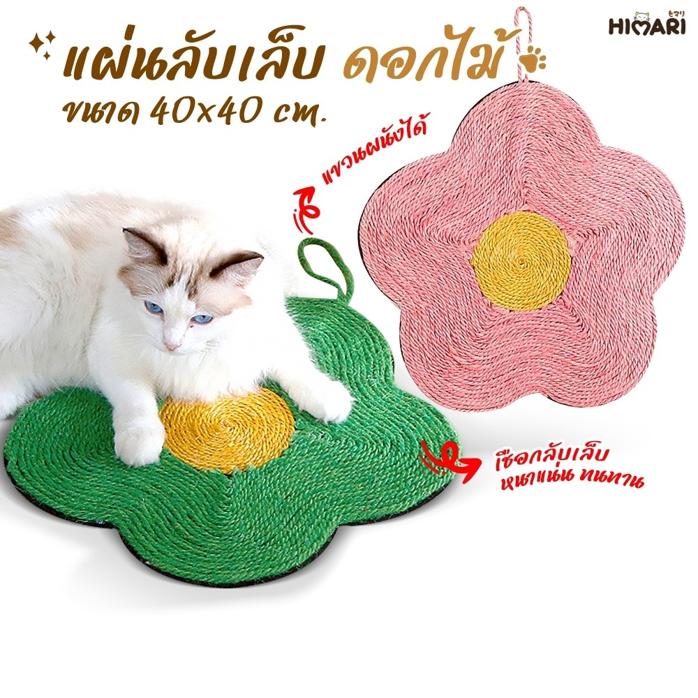 แผ่นรองลับเล็บ แผ่นลับเล็บแมว ที่ฝนเล็บ ที่ลับเล็บแมว รุ่นดอกไม้522 ของเล่นแมว ของเล่นสัตว์เลี้ยง