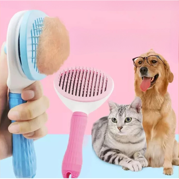 รูปภาพ 5