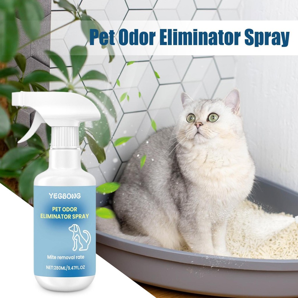 สุนัขกําจัดกลิ่นสําหรับ Home Cat ปัสสาวะกําจัดกลิ่นทําความสะอาด Fast Acting 280ml Remover Freshener สําหรับลัง gsanqth