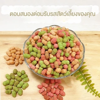 【PET RECORD】🔥ขนมแมวขัดฟัน 60g บิสกิตแมว ขนมขบเคี้ยวแมว โภชนาการครบ ช่วยทำความสะอาดฟัน อร่อย