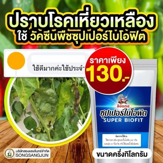 วัคซีนพืช ซุปเปอร์ไบโอฟิต ไคโตซาน ป้องกันโรคพืช โรครากเน่าคอดิน โรคใบจุด บำรุงพืช ฮอร์โมนเขียวพุ่ง