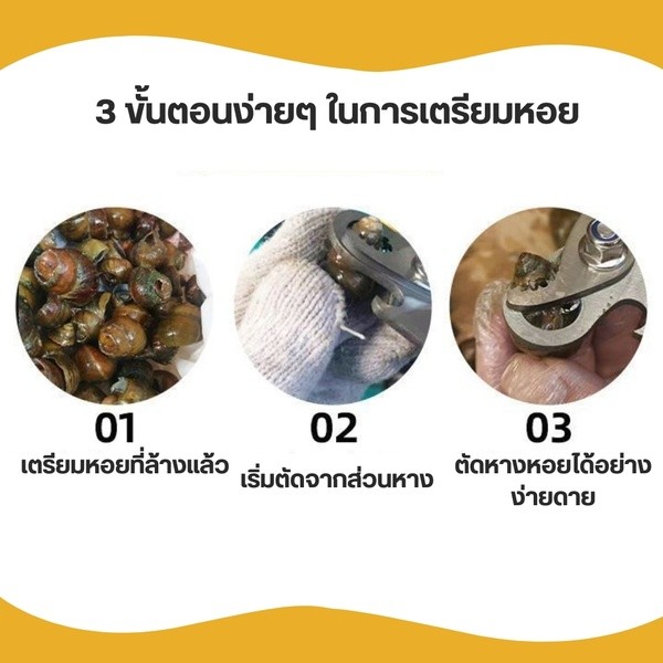 กรรไกรหอย 2 in 1 ที่ตัดก้นหอย เครื่องมือตัดพิเศษสำหรับตัดร่องก้นหอยทากตัดหางสิง ตัวช่วยตัดก้นหอยขมได้อย่างรวดเร็ว - รูปที่ 4
