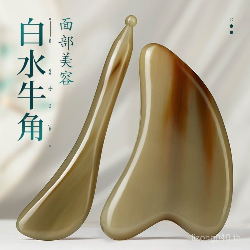 ฮอร์นคณะกรรมการขูดใบหน้าหนาคอไหล่ยกสากลโกนใบหน้าเส้นเอ็นติดขูดคณะกรรมการกําจัดริ้วรอย jsk