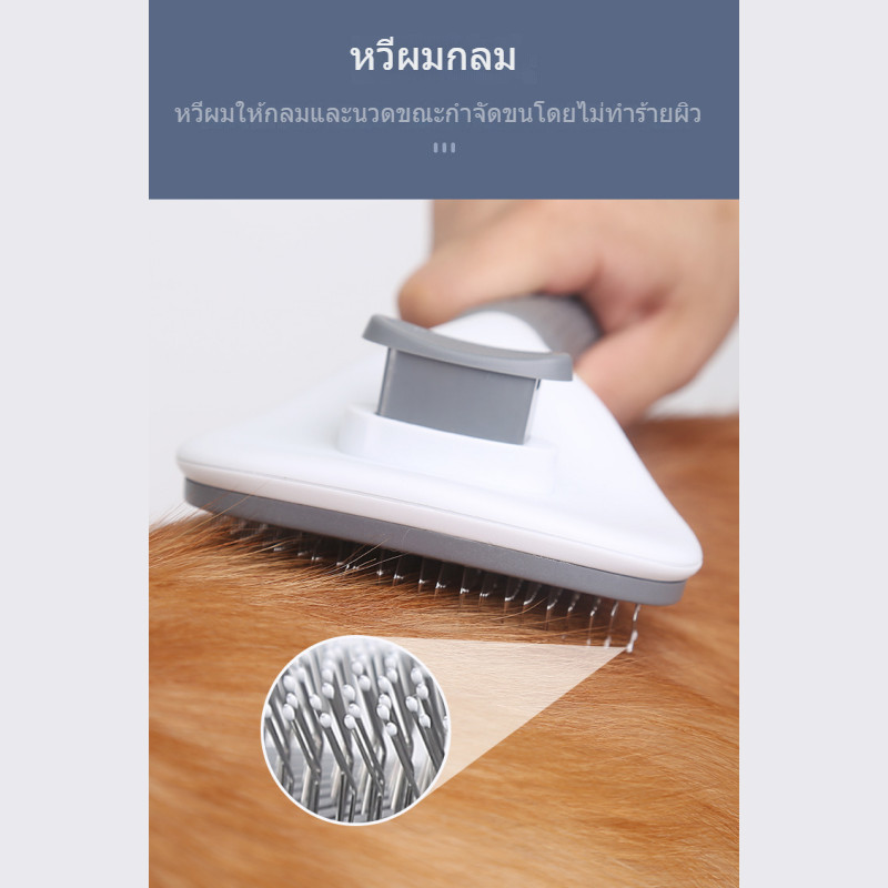 รูปภาพ 4