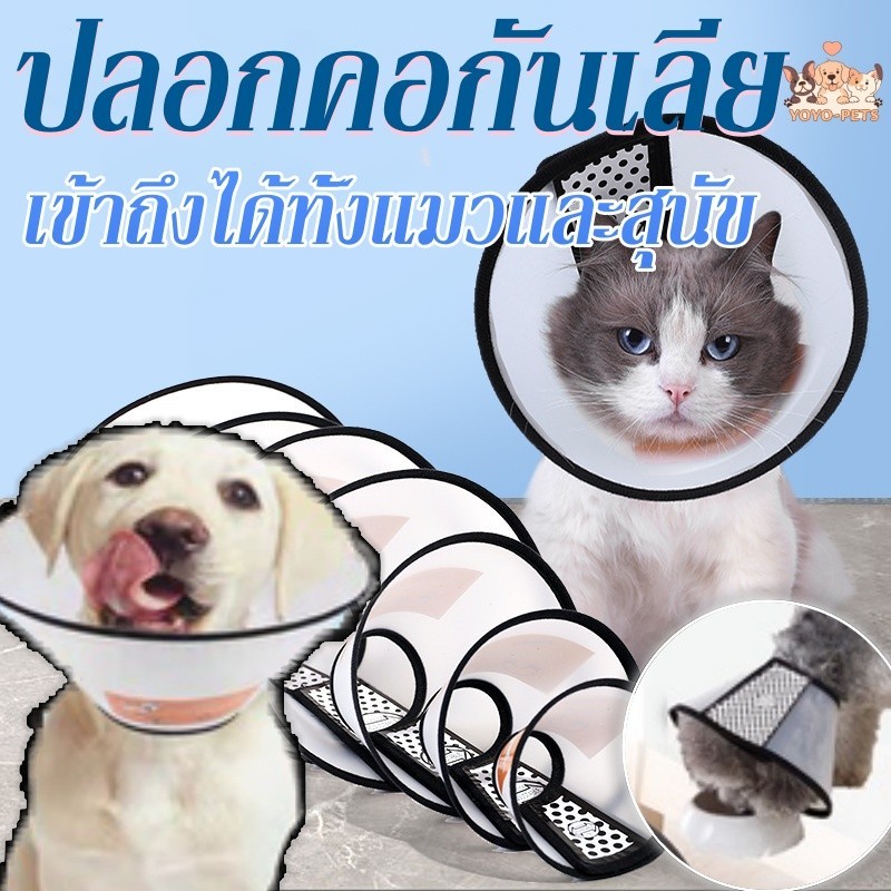🐶พร้อมส่ง🐱 ปลอกคอกันเลีย ลำโพงกันเลีย คอลล่ากันเลีย สัตว์เลี้ยง คอลล่าสุนัข คอลล่าแมว ลำโพงหมา ปลอกคอกันเลียสุนัข