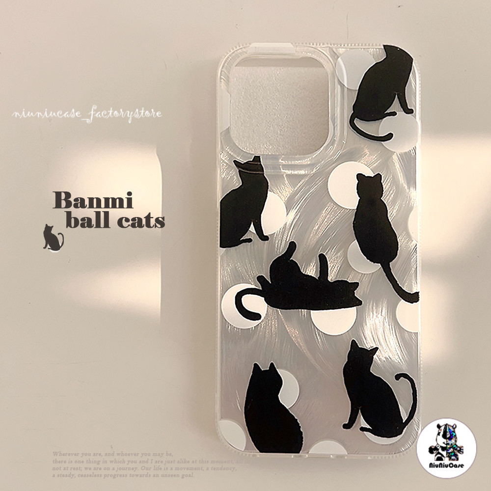 เคสไอโฟน11 13 แมวดำ เคส ไอโฟน เลเซอร์โฮโลแกรมหรูหราขนสีเงิน TPU For iPhone 15 14 12 Pro Max 11 XR X XS Max 7 8 PLUS Case