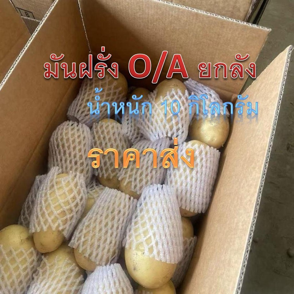 มันฝรั่งสด  มันฝรั่งนอกO/A หัวใหญ่ ยกลัง 9-10 กิโลกรัม