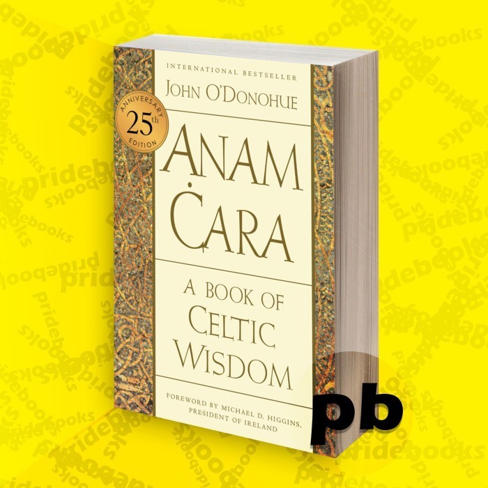 Anam Cara 25th [Twenty-fifth Anniversary Edition] - John ODonohue