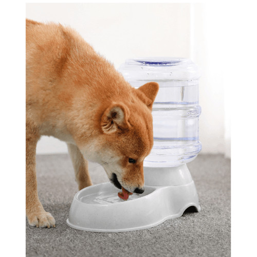 P&PHomeShop ชามให้น้ำสัตว์เลี้ยงอัตโนมัติ ความจุ 3.5ลิตร รุ่น BP031 ขนาด 17.5×32×30.5ซม. สีเทา