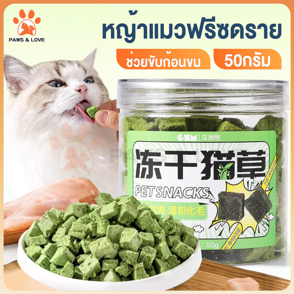 PL.ส่งจากไทย หญ้าแมวฟรีซดราย 3 สไตล์ ช่วยขับขนในลำคอ ลำไส้ ขนมสัตว์เลี้ยง หอม ทานง่าย