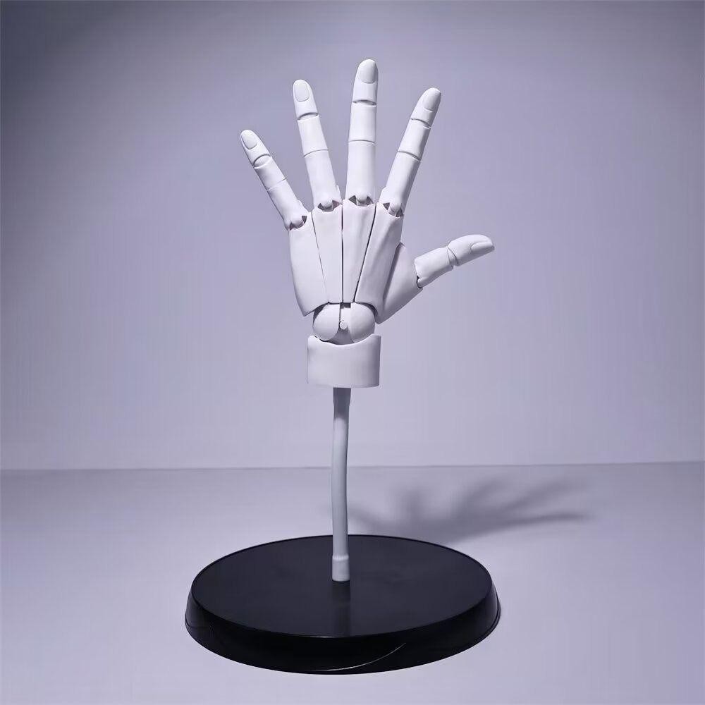 จัดส่งจากประเทศไทย Hand Model รูปที่ 3