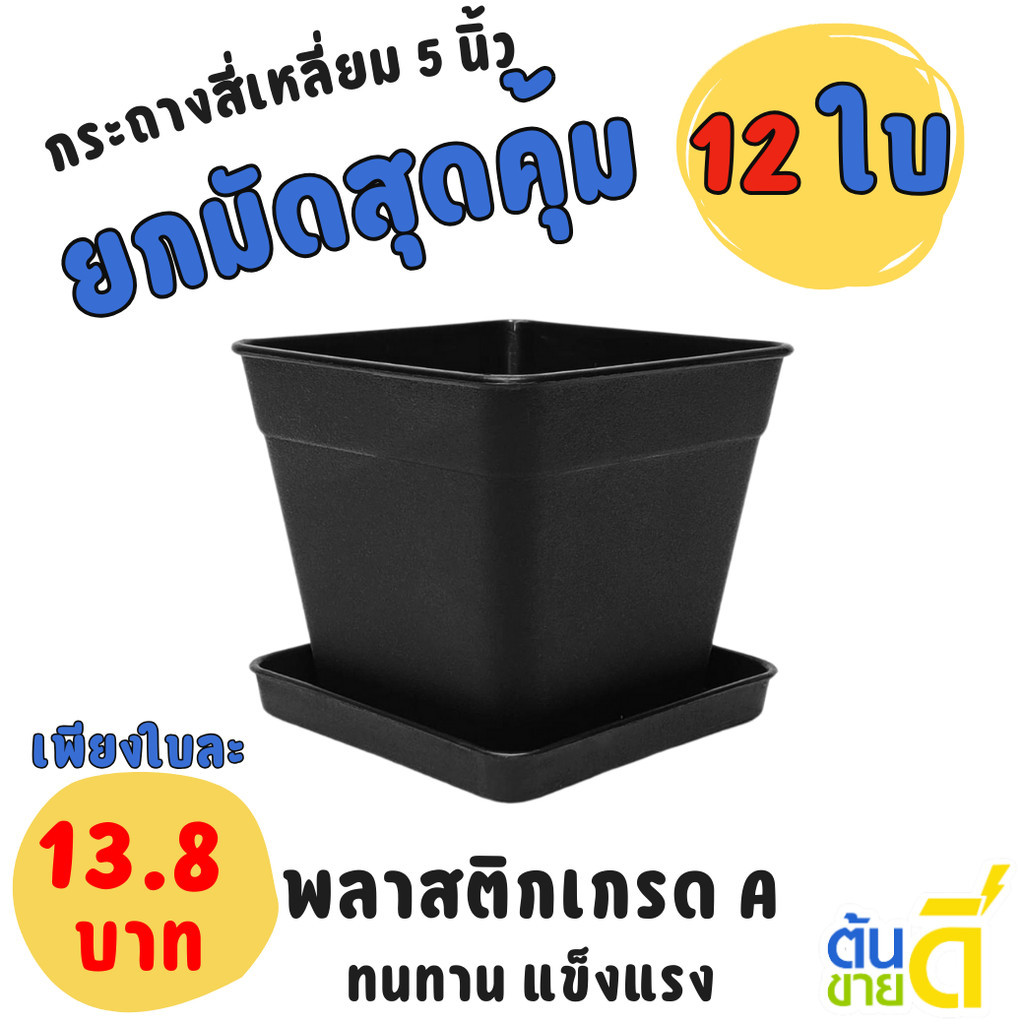 กระถางแคคตัส กระถางสี่เหลี่ยม พร้อมจานรอง 5 5.3 นิ้ว สีดำ Bundle 12 ใบ ชิ้น อัน