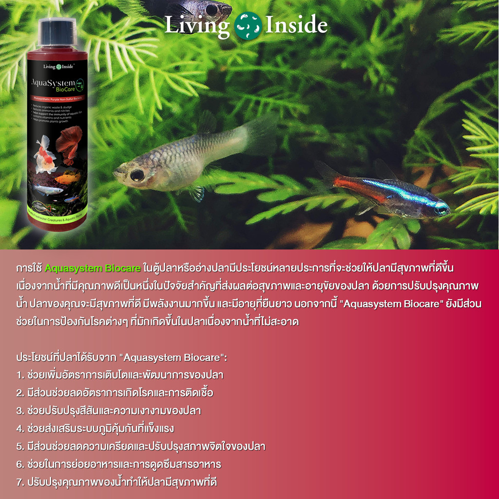 จุลินทรีย์ดูแลสมดุลในระน้ำ อ่างปลา ตู้ไม้น้ำ ำรุงปลา ำรุงต้นไม้น้ำ สังเคราะห์แสง PSB สารสกัดจากยีส |