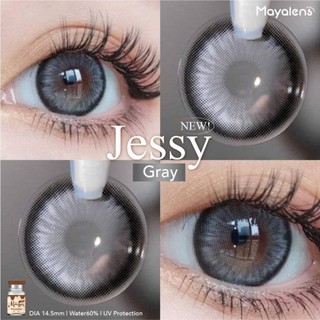 🔥คอนแทคเลนส์ Silicone Hydrogel ค่าอมน้ำ 60% ❤️Size : M❤️รุ่น Jessy (Mayalens Premium) สี : Brown / Gray