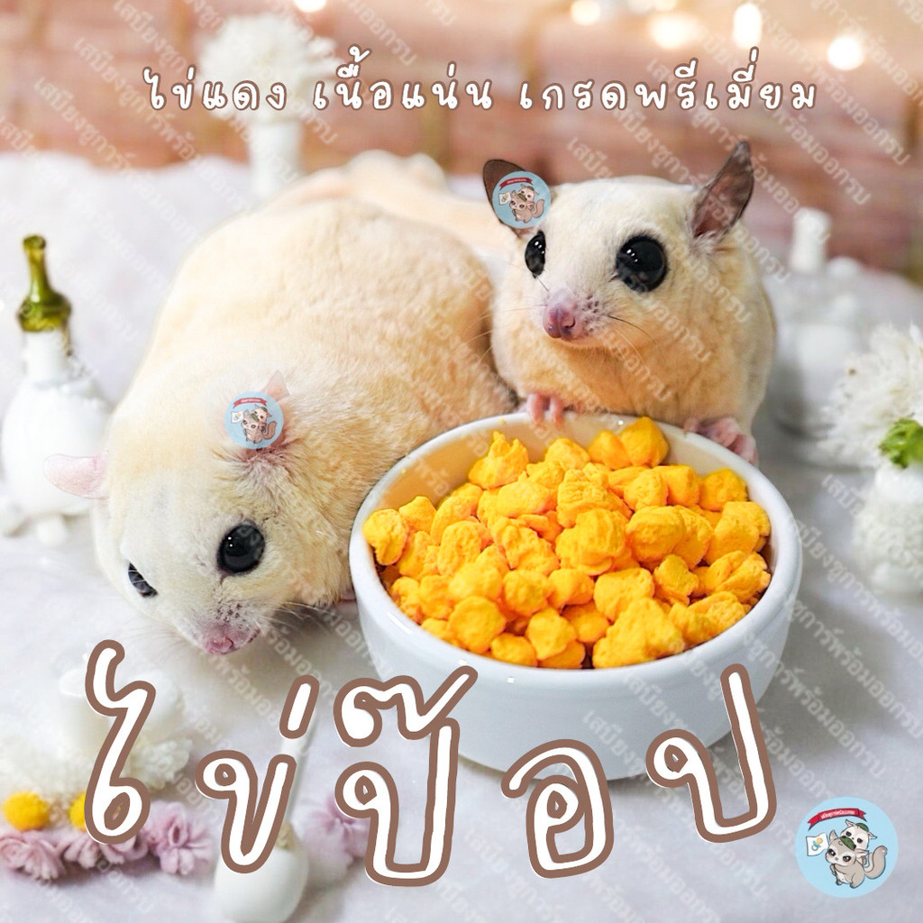 ( ไข่ป๊อป ) EGGYOLK ไข่ป็อป ไข่แดงเม็ด ไข่แดงอัดเม็ด ขนม สัตว์ ชูการ์ บุชเบบี้ กระรอก ลิงมาโมเสท แฮมสเตอร์