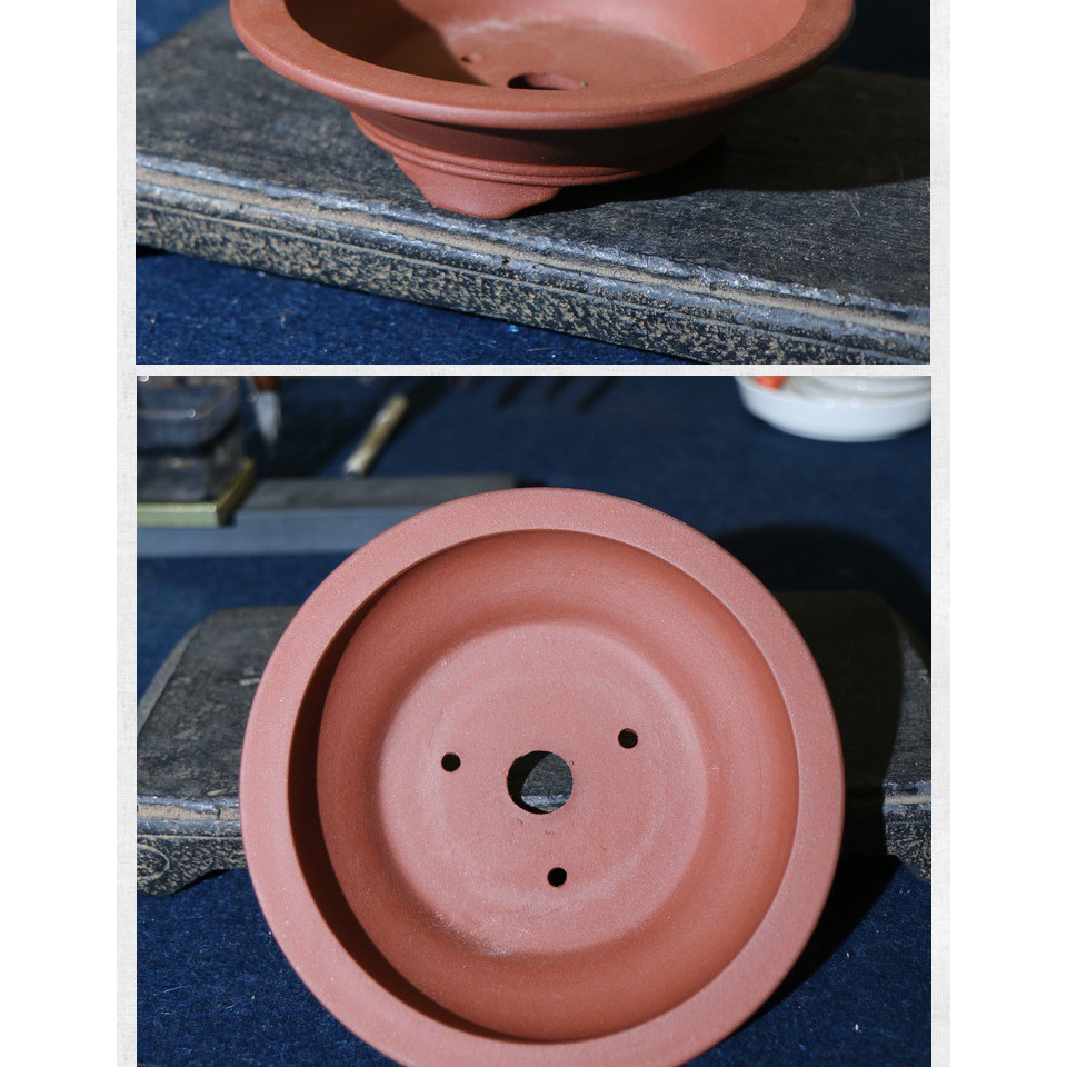 Yixing Boutique สีม่วง Calamus กระถางดอกไม้ Miniature ขนาดเล็ก Handmade Sparrow Plum Art ไม้ไผ่พืชสีเขียว Succulent Calamus หม้อหมวกบอนไซหม้อ [A602-01] - รูปที่ 5