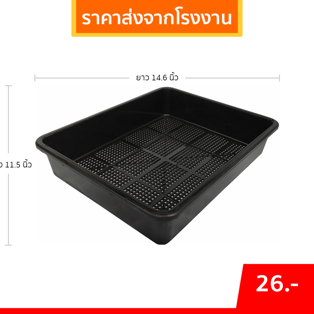 กระถาง ถาดเพาะไดโซะ ใส่กระถางต้นไม้ L ( รู ) สีดำ