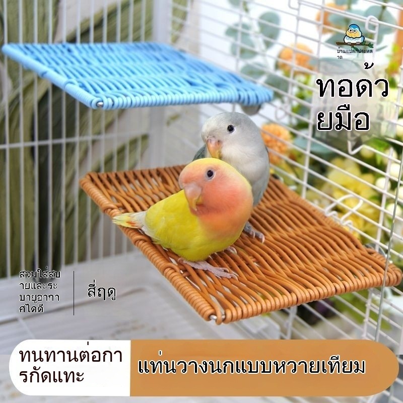 นกแก้วฤดูร้อนรังนกสี่ฤดูกาลสากลรังนกหวายเทียมเดิมนิเวศวิทยารังนกเสือดอกโบตั๋นกรงนกนอนรัง