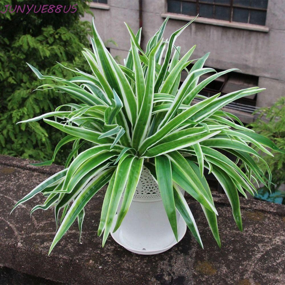 JUNYUE88US พืชประดิษฐ์ผ้าไหมพลาสติกสําหรับสวนตาราง Home Desktop Room Chlorophytum สาขา