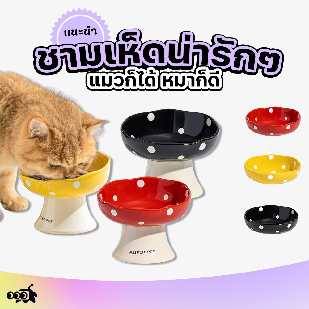 🔔ชามเห็ดน่ารักๆ | ป้องกันมด+ไม่หก+คอไม่เมื่อย แมว-น้องหมากินเพลิน💖