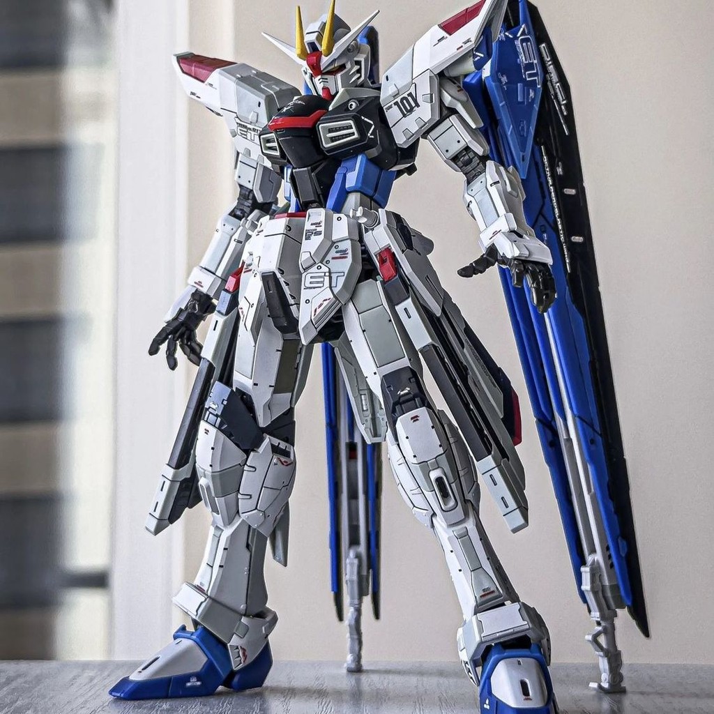 ทารกแรกเกิด Freedom HG Strike Freedom MG Mecha Model Red Heresy Unicorn Freedom Warrior Assembly กัน