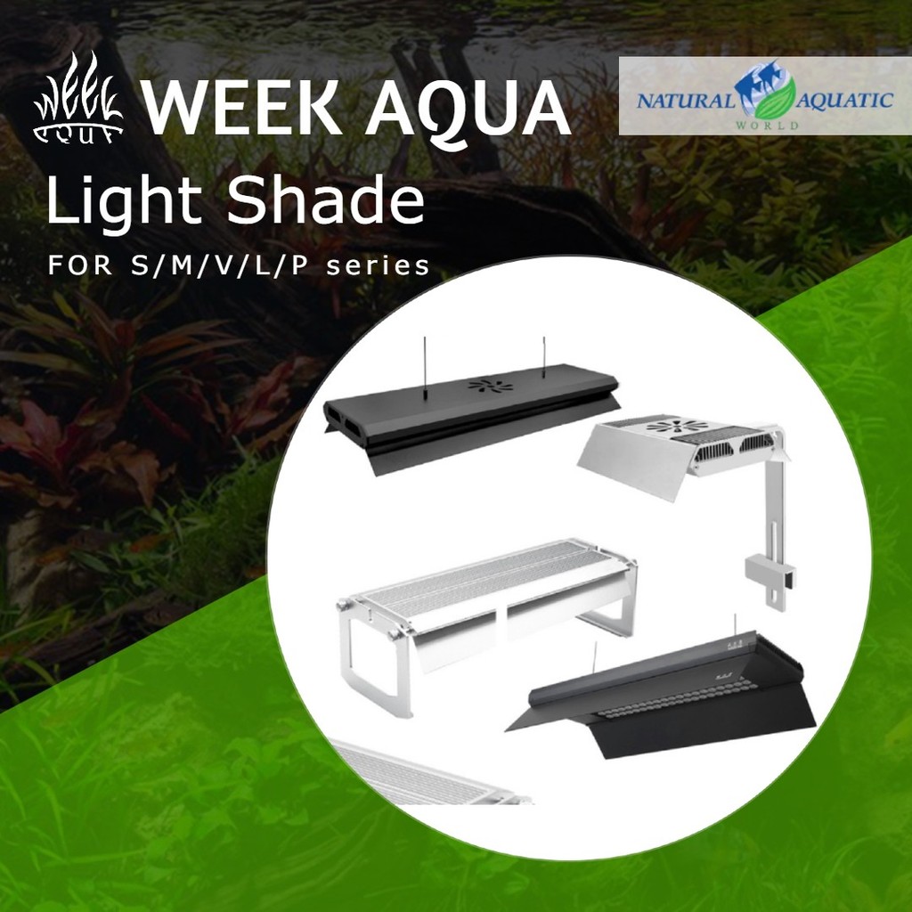 Week Aqua Light Shade (ซีรีส์ S / M / V / L / P)