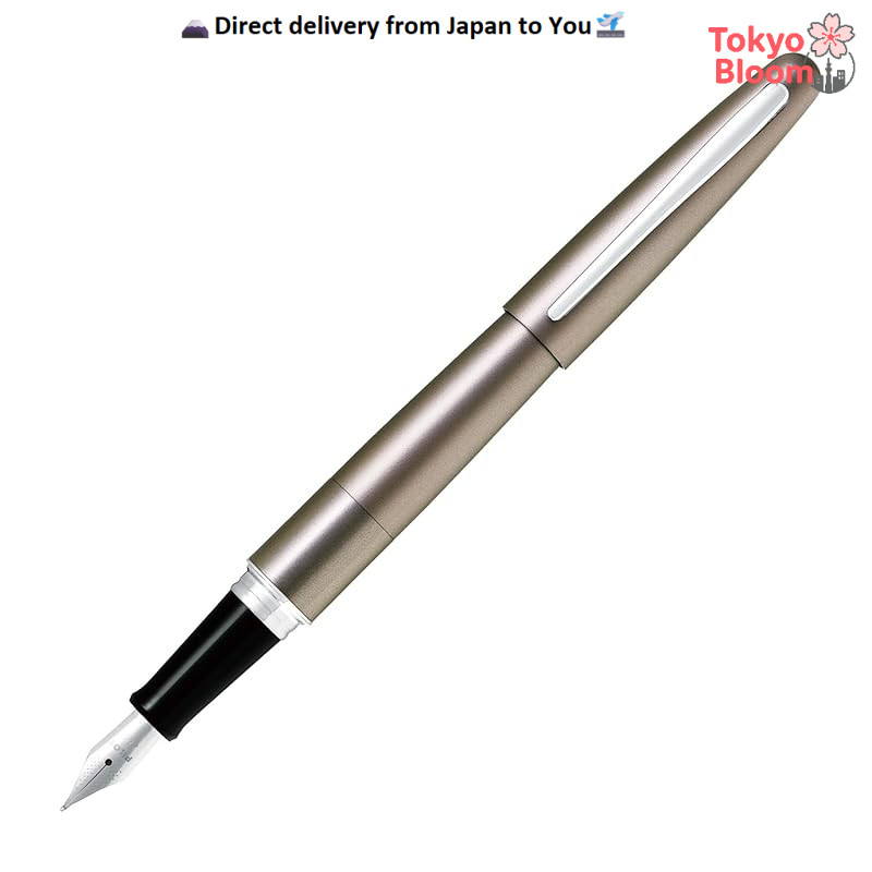 PILOT Fountain Pen Cocoon Metallic Gray Fine nib FCO-3SR-MGY-F🛫Japan Direct🛬
