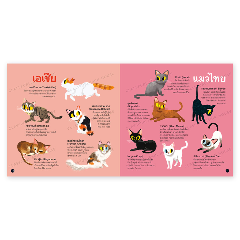 ห้องเรียน หนังสือสติ๊กเกอร์ ความลับของแมว ความรู้รอบตัวรู้จักแมวสายพันธุ์ต่างๆ หนังสือรางวัล - รูปที่ 6