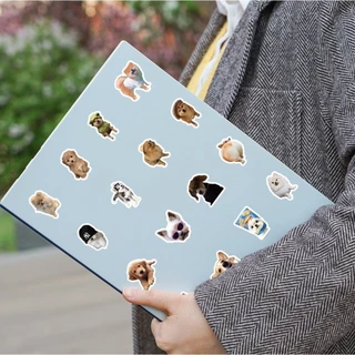 Pawsome Funny Dogs Animals สติ๊กเกอร์อุปกรณ์สัตว์เลี้ยง 5 ชิ้นสไตล์สุ่ม