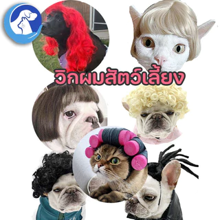 🐶พร้อมส่ง😻 ผมปลอม วิกผมสังเคราะห์สําหรับสัตว์เลี้ยงสุนัขแมว สัตว์เลี้ยง แมว หมา