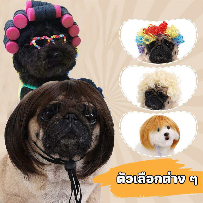 วิกผมสัตว์เลี้ยง หมวกสัตว์เลี้ยง วิกผมตลก เครื่องประดับสัตว์เลี้ยง ตลก ตัวเลือกทรงผมที่หลากหลาย