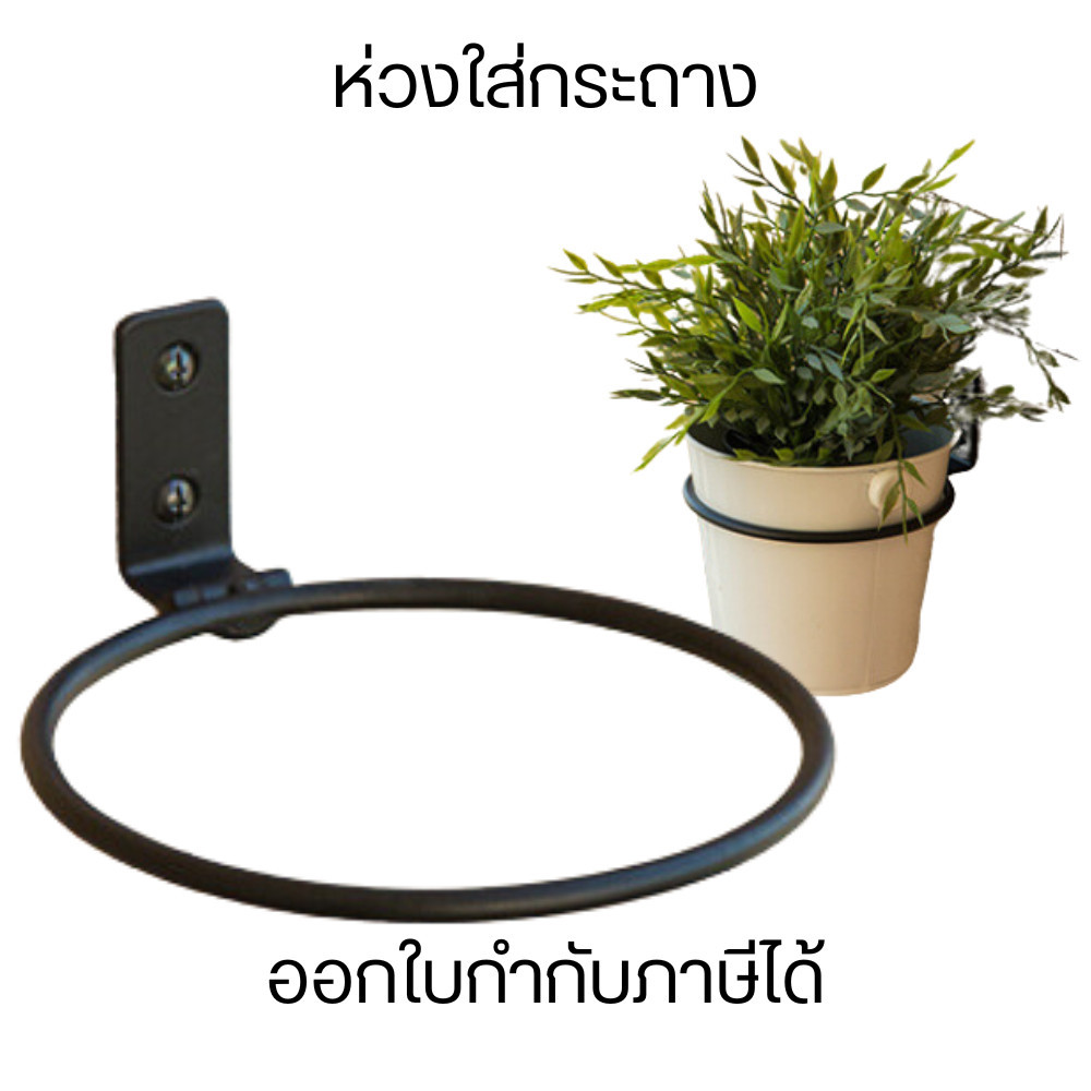 ห่วงแขวนกระถางต้นไม้ติดผนัง ที่ใส่กระถางต้มไม้ กระถางติดผนัง ถางต้นไม้ติดผนัง