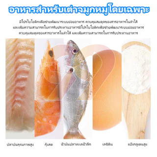99PET อาหารเต่า อนุภาคขนาดใหญ่ มาซูริ อาหารเต่าน้ำ เต่าญี่ปุ่น ตะพาบ เต่าหมูบิน 320g