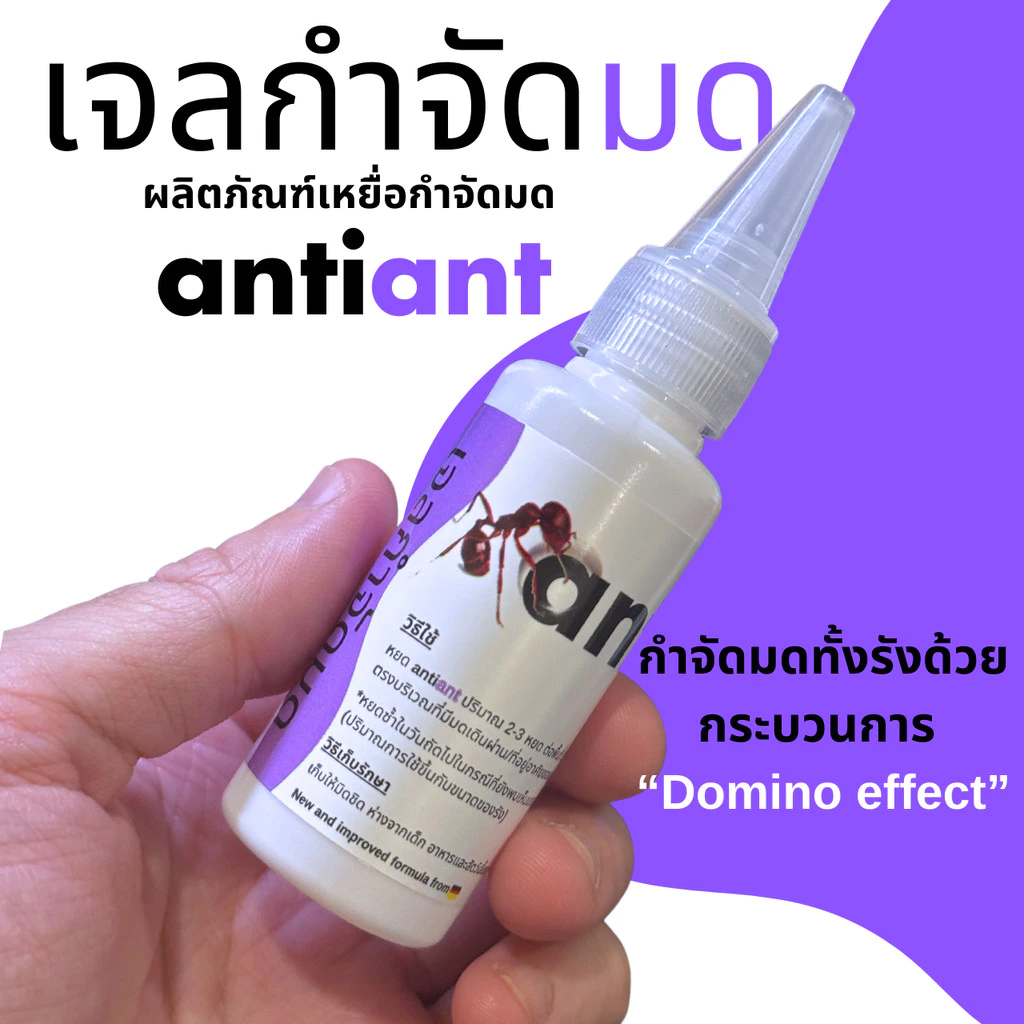 เจลกำจัดมด ANTIANT แอนตี้แอนท์ [ของแท้จากร้าน Antiant Thailand] thumbnail 4