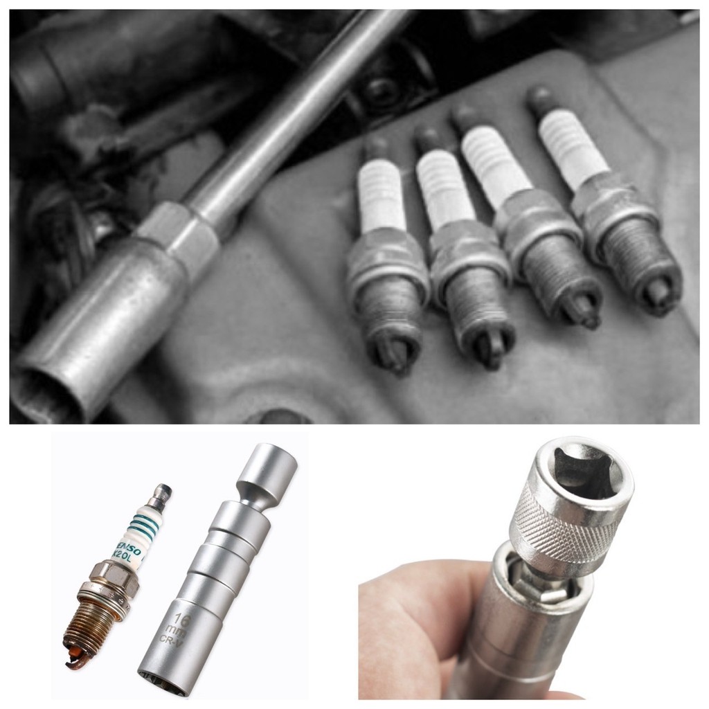 รูปภาพ 7