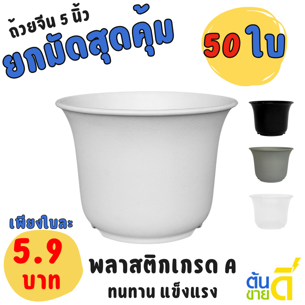 กระถาง ถ้วยจีน ขนาด 5 นิ้ว สีดำ สีขาว สีเทา สีเขียวพาสเทล Bundle 10 ใบ ชิ้น อัน