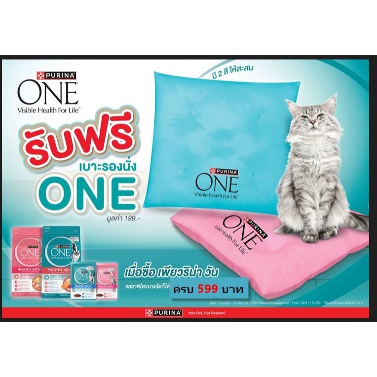 Purina One เบาะแมว ขนาด 40x40cm เบาะรองนั่ง เนื้อฟูนุ่มผลิตผ้า TFและEF ไม่ติดขนสัตว์ ให้น้องแมวนอน