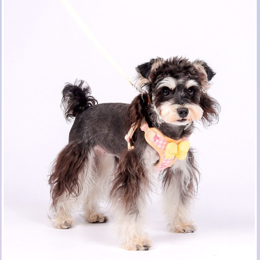 สายจูงสัตว์เลี้ยงแบบเสื้อกั๊ก สายจูงหน้าอกและด้านหลังตาข่าย สายจูงแมวและสุนัขระบายอากาศ สายจูง - รูปที่ 4