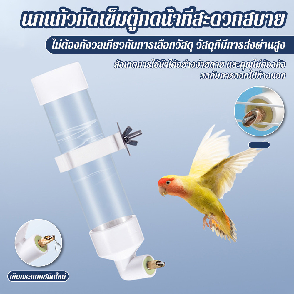 【COD】ที่ให้น้ำอัตโนมัติ ขวดน้ำนก หลอดให้น้ำ ขวดใส่น้ำนกแก้ว แบบติดกรง หัวทองเหลือง ป้องกันน้ำหก ขนาด 300ml - รูปที่ 2