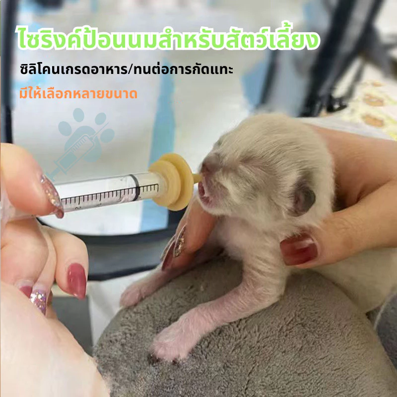 จุกนมลูกแมว ไซริงค์ป้อนนม ซิลิโคนเกรดอาหาร thumbnail 8