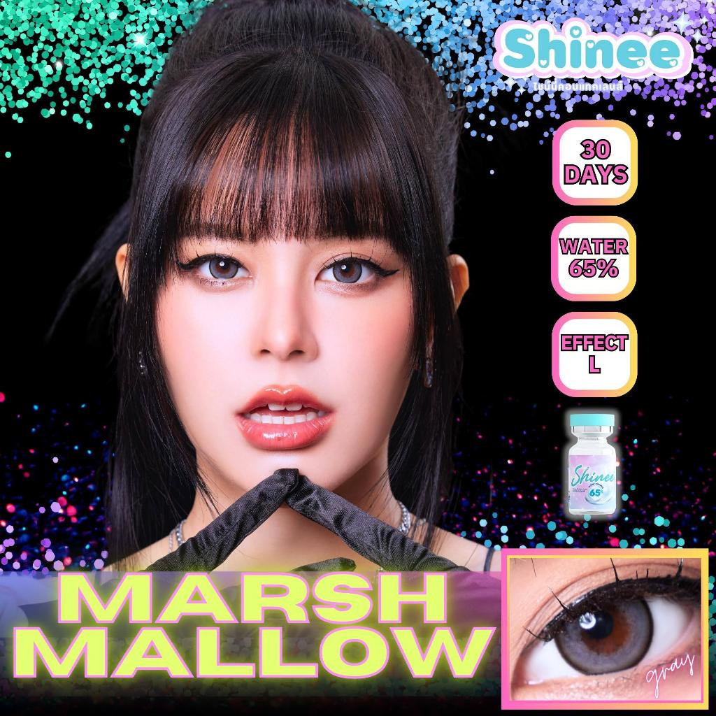 คอนแทคเลนส์(บิ๊กอาย)🔥Marshmallow🔥(Shinee) สี : Brown / Gray รายเดือน มีค่าสายตา - รูปที่ 5