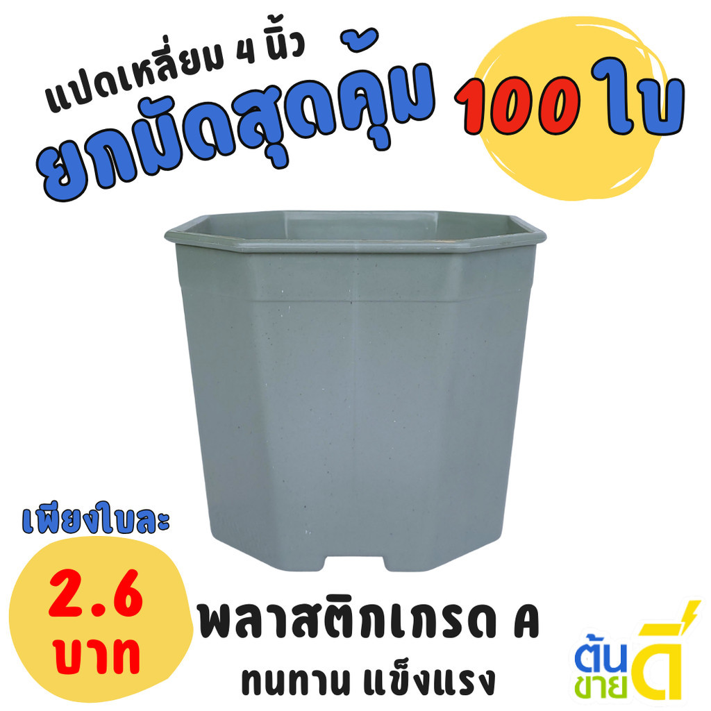 กระถาง กระถางแคคตัส กระถางแปดเหลี่ยม 4 นิ้ว สีเทา Bundle 100 ใบ ชิ้น อัน