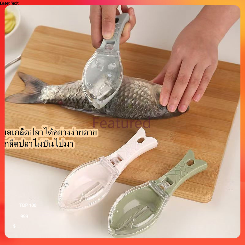 Featured เครื่องขูดเกล็ดปลา ป้องกันไม่ให้เกล็ดปลากระเด็น