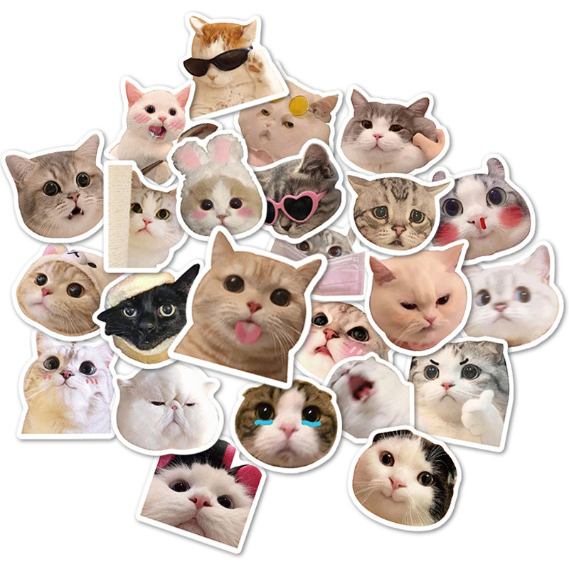 Y&P| ชุดสติ๊กเกอร์ Cat Meme Emoji ชุดสติ๊กเกอร์กราฟิตี้กันน้ำลายการ์ตูน, 50 แผ่น/ชุด