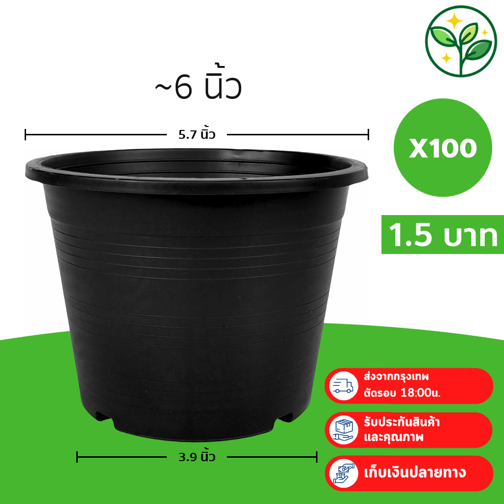 กระถาง กระถางต้นไม้ กระถางพลาสติก เบอร์ 6 5.7 นิ้ว สีดำ 100 ใบ ยกมัด ยกกระสอบ