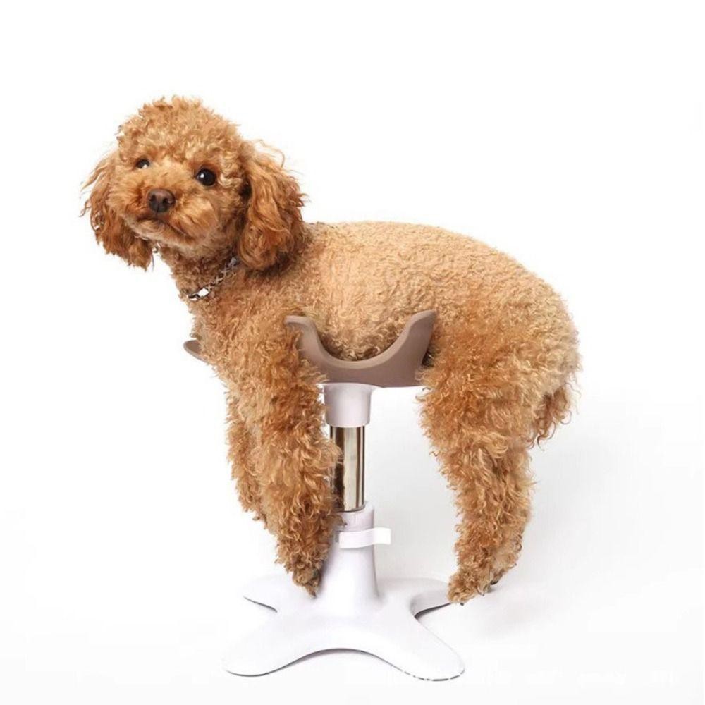 Karen Pet Bath Fixer, ปรับสุนัขกรูมมิ่งความงามคงที่ตารางฐานกรอบ, โลหะ Universal ที่ถอดออกได้ Pest Grooming Fixing ตาราง Pomeranian ราคา ถูกที่สุด ดีลบีเคเค แกลเลอรีภาพที่ 4