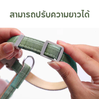 สายจูงสัตว์เลี้ยง เชือกจูงแมว สามารถปรับได้ ป้องกันการคลายตัว สายจูงแมวน่ารัก