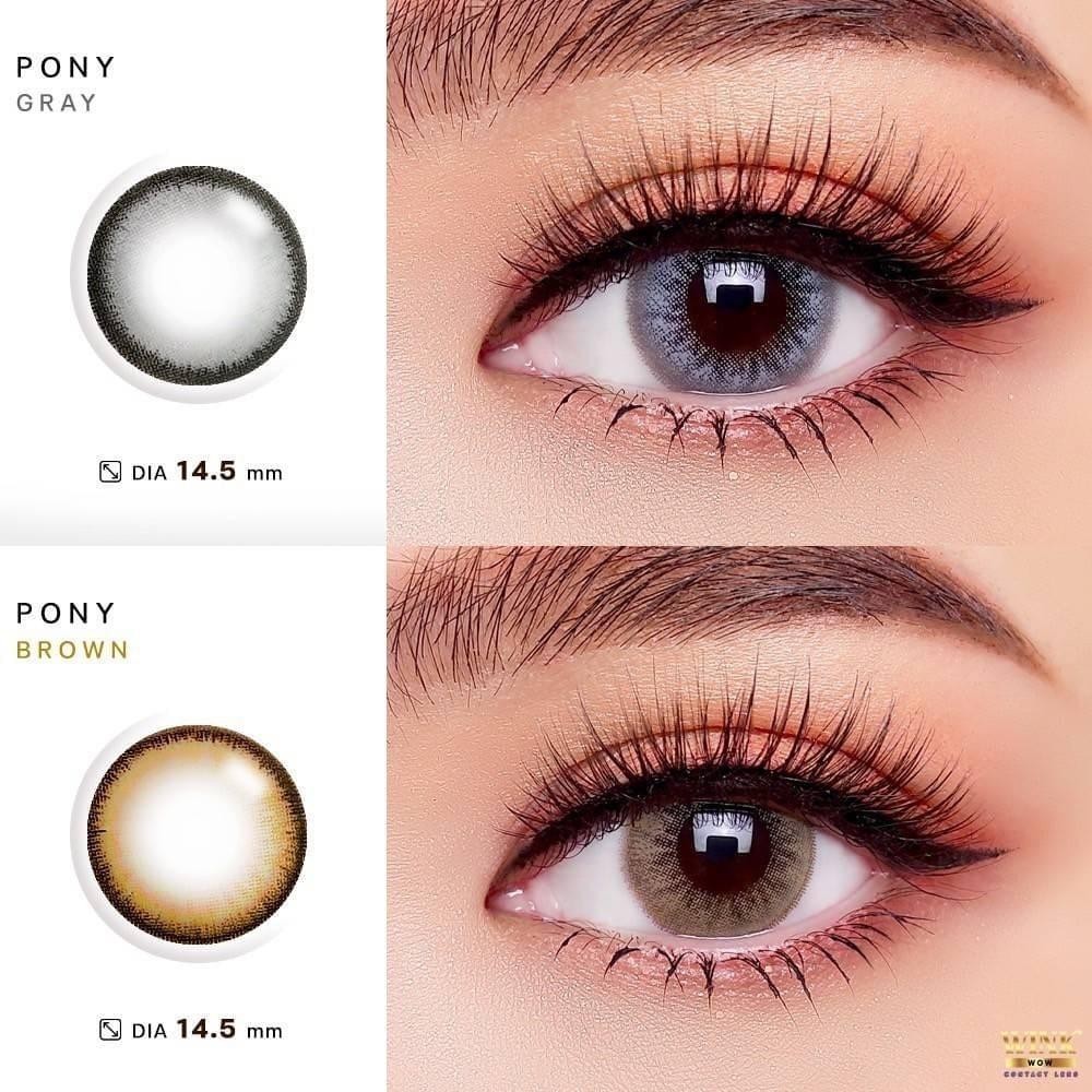 คอนแทคเลนส์[บิ๊กอาย] Pony Chestnut / Gray (Wink) ☁️ มี อย.ไทย