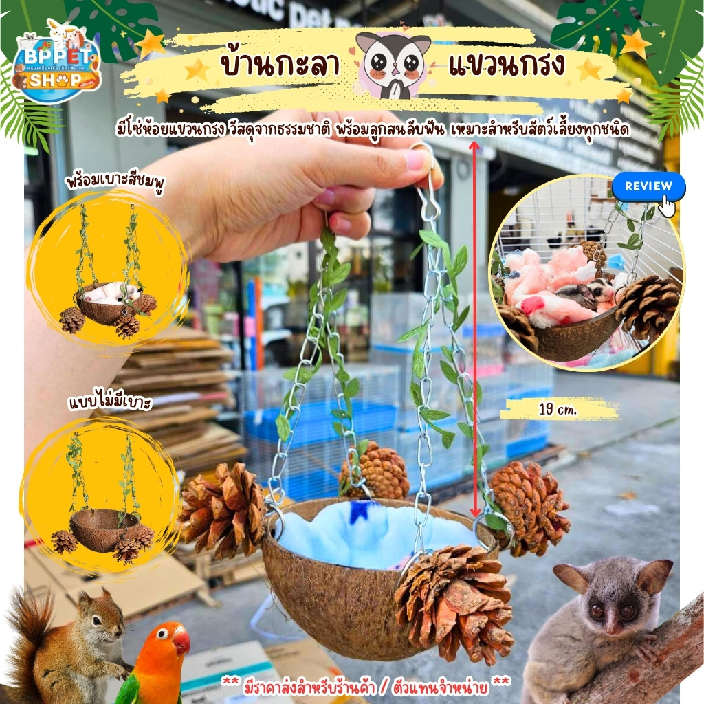 บ้านกะลาชูก้าร์ไกลเดอร์ บ้านกระรอก บ้านหนูแฮมสเตอร์ นกแก้ว บ้านกะลามีโซ่แขวนกรง บ้านสัตว์เลี้ยง (BP)
