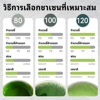 แปรงไม้ไผ่ญี่ปุ่น ชาเขียวมัทฉะ อุปกรณ์ชงชา ช้อน ฉะเซ็น แปรงชงชา ไม้ไผ่ สำหรัยชงชาเขียวมัทฉะ(Matcha Whisk Chasen)